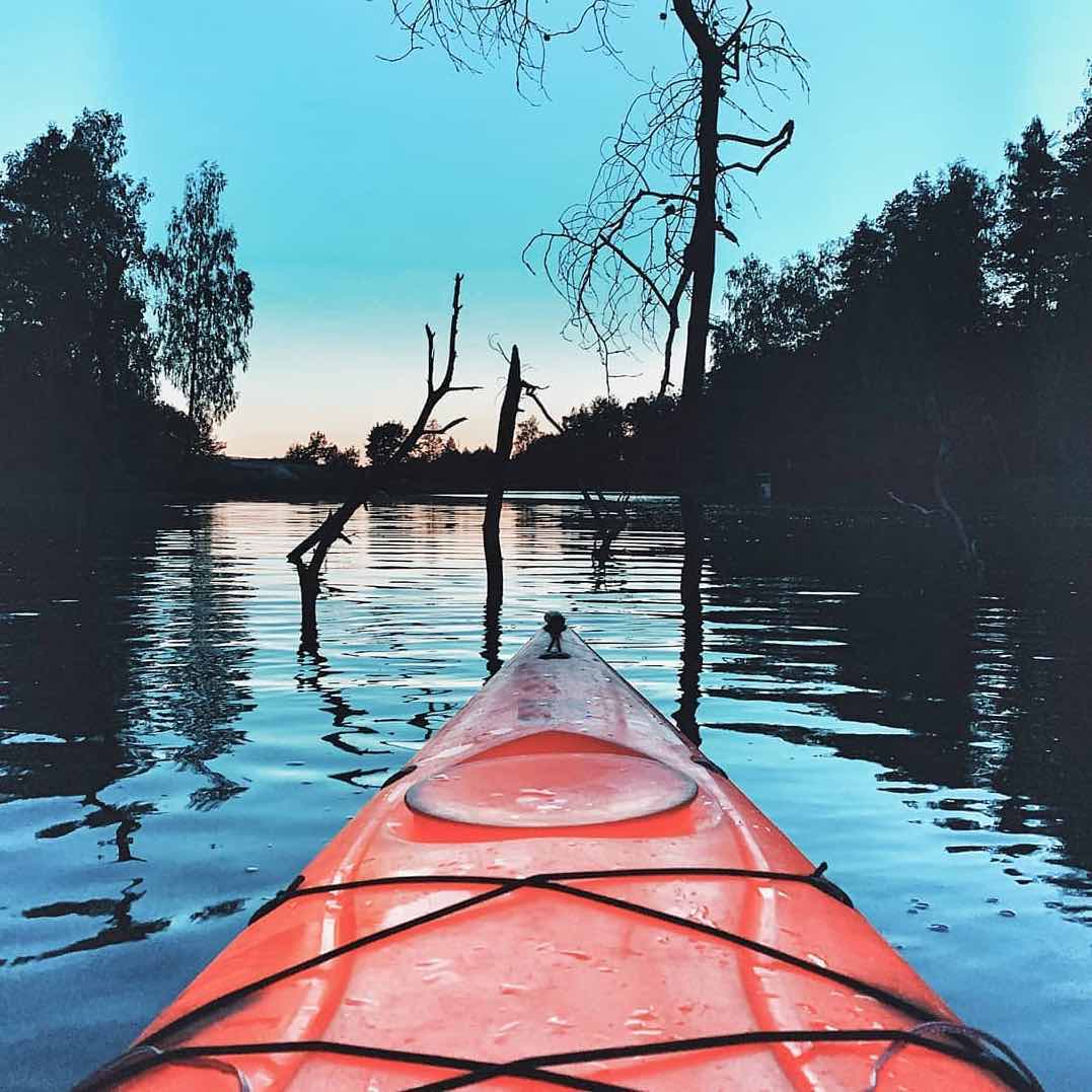 activity